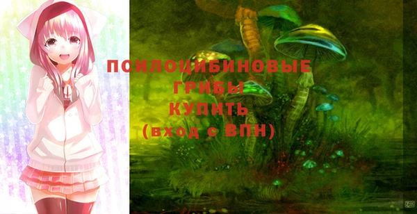 меф Снежногорск
